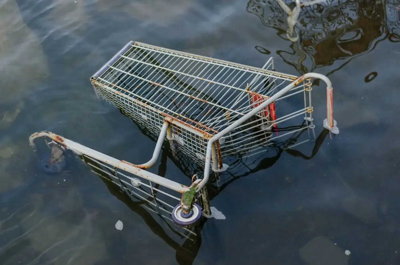 Did you know that over 80% of online shopping carts are abandoned?